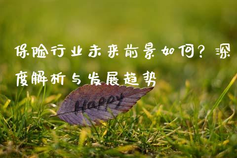 保险行业未来前景如何？深度解析与发展趋势_https://m.lcjysmgs.com_基金管理_第1张