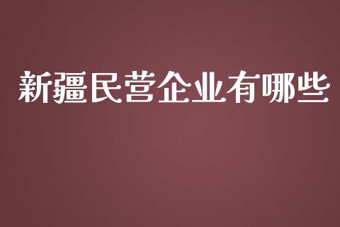 新疆民营企业有哪些_https://m.lcjysmgs.com_股权投资_第1张