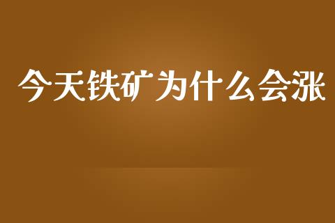 今天铁矿为什么会涨_https://m.lcjysmgs.com_股票交易_第1张