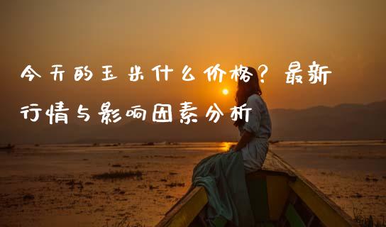 今天的玉米什么价格？最新行情与影响因素分析_https://m.lcjysmgs.com_股权投资_第1张