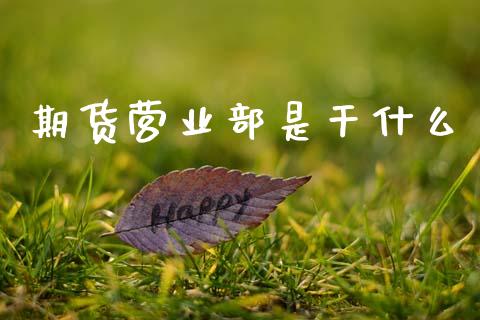 期货营业部是干什么_https://m.lcjysmgs.com_股权投资_第1张