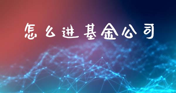 怎么进基金公司_https://m.lcjysmgs.com_股权投资_第1张