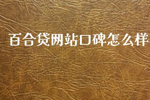百合贷网站口碑怎么样_https://m.lcjysmgs.com_基金管理_第1张
