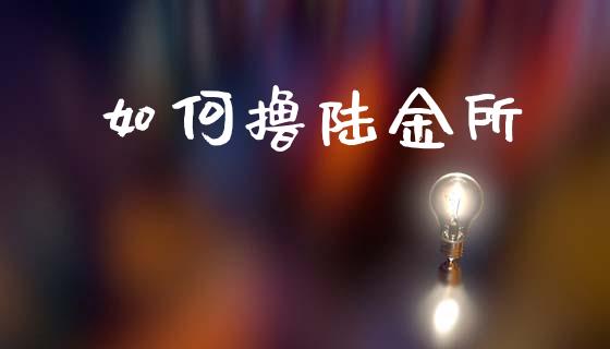 如何撸陆金所_https://m.lcjysmgs.com_基金管理_第1张