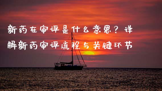 新药在审评是什么意思？详解新药审评流程与关键环节_https://m.lcjysmgs.com_股权投资_第1张