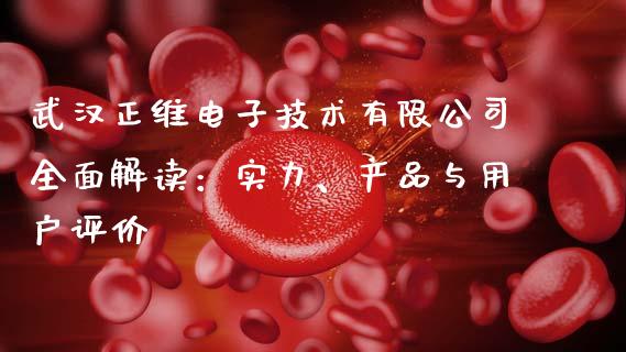 武汉正维电子技术有限公司全面解读：实力、产品与用户评价_https://m.lcjysmgs.com_基金管理_第1张