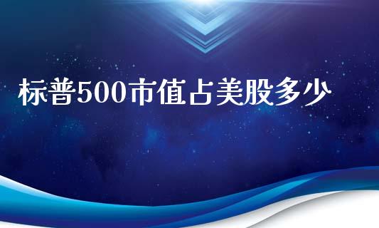 标普500市值占美股多少_https://m.lcjysmgs.com_股权投资_第1张