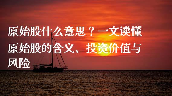 原始股什么意思？一文读懂原始股的含义、投资价值与风险_https://m.lcjysmgs.com_基金管理_第1张