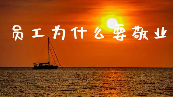 员工为什么要敬业_https://m.lcjysmgs.com_股权投资_第1张