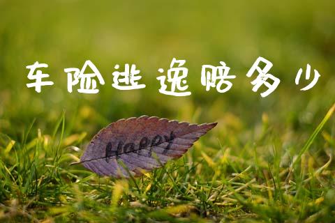 车险逃逸赔多少_https://m.lcjysmgs.com_股票交易_第1张