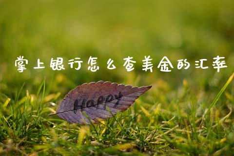 掌上银行怎么查美金的汇率_https://m.lcjysmgs.com_基金管理_第1张