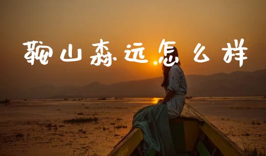 鞍山森远怎么样_https://m.lcjysmgs.com_基金管理_第1张