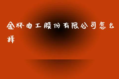 金杯电工股份有限公司怎么样_https://m.lcjysmgs.com_基金管理_第1张