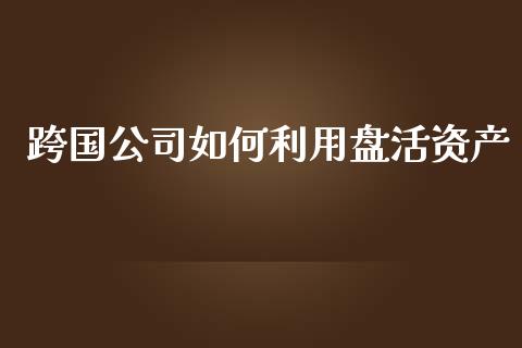 跨国公司如何利用盘活资产_https://m.lcjysmgs.com_股权投资_第1张