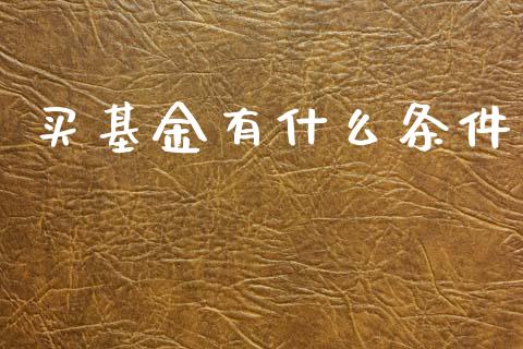 买基金有什么条件_https://m.lcjysmgs.com_股权投资_第1张