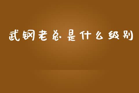 武钢老总是什么级别_https://m.lcjysmgs.com_金融服务_第1张