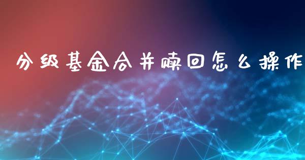 分级基金合并赎回怎么操作_https://m.lcjysmgs.com_股权投资_第1张