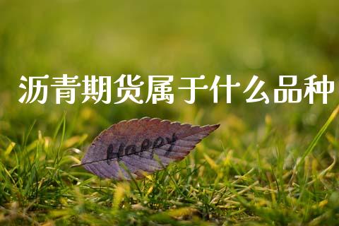 沥青期货属于什么品种_股票交易_第1张_股权投资_基金管理_股票交易_金融服务 沥青期货属于什么品种_https://m.lcjysmgs.com_股票交易_第1张