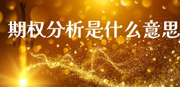 期权分析是什么意思_基金管理_第1张_股权投资_基金管理_股票交易_金融服务 期权分析是什么意思_https://m.lcjysmgs.com_基金管理_第1张
