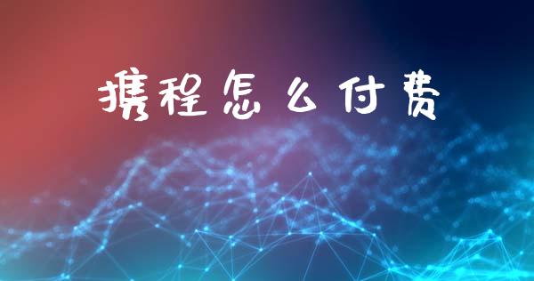 携程怎么付费_https://m.lcjysmgs.com_股权投资_第1张
