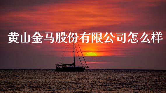 黄山金马股份有限公司怎么样_https://m.lcjysmgs.com_金融服务_第1张