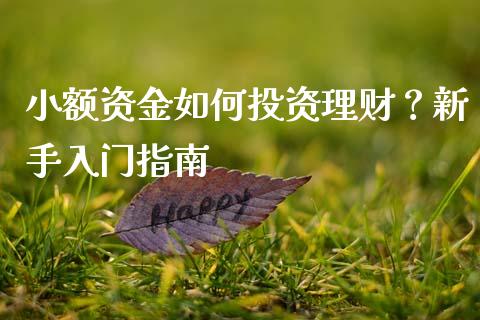小额资金如何投资理财？新手入门指南_https://m.lcjysmgs.com_股权投资_第1张