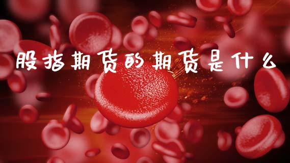 股指期货的期货是什么_https://m.lcjysmgs.com_金融服务_第1张