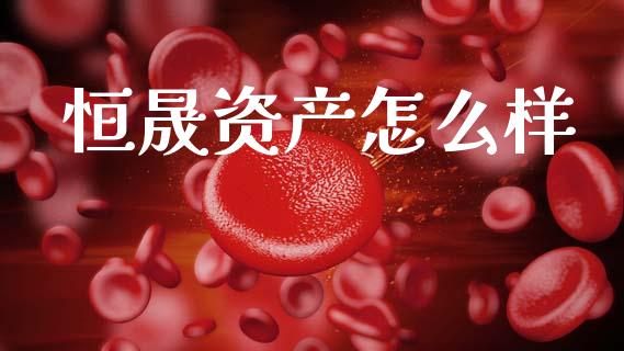 恒晟资产怎么样_https://m.lcjysmgs.com_基金管理_第1张