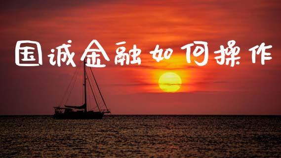 国诚金融如何操作_https://m.lcjysmgs.com_基金管理_第1张