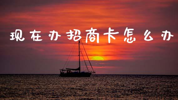 现在办招商卡怎么办_https://m.lcjysmgs.com_金融服务_第1张