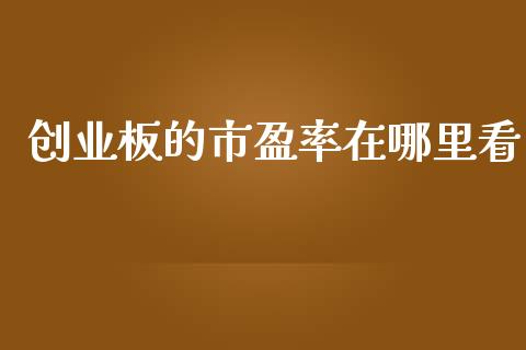 创业板的市盈率在哪里看_https://m.lcjysmgs.com_股权投资_第1张