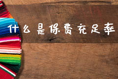什么是保费充足率_https://m.lcjysmgs.com_股票交易_第1张