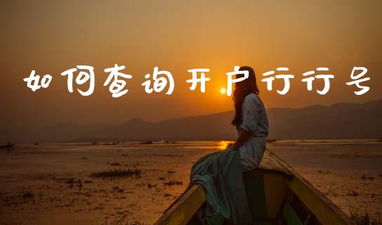 如何查询开户行行号_https://m.lcjysmgs.com_基金管理_第1张
