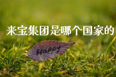 来宝集团是哪个国家的_https://m.lcjysmgs.com_股权投资_第1张