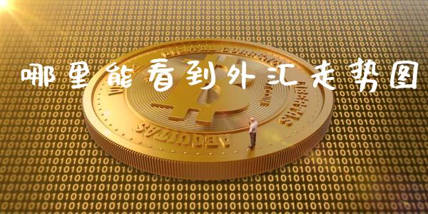 哪里能看到外汇走势图_https://m.lcjysmgs.com_股票交易_第1张