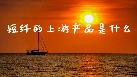 短纤的上游产品是什么_https://m.lcjysmgs.com_金融服务_第1张