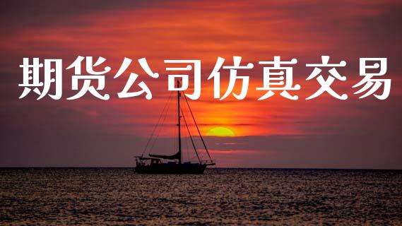 期货公司仿真交易_https://m.lcjysmgs.com_股权投资_第1张