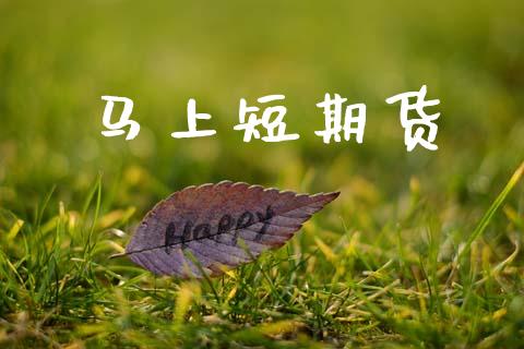 马上短期货_https://m.lcjysmgs.com_基金管理_第1张