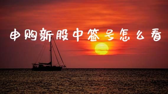 申购新股中签号怎么看_https://m.lcjysmgs.com_股票交易_第1张