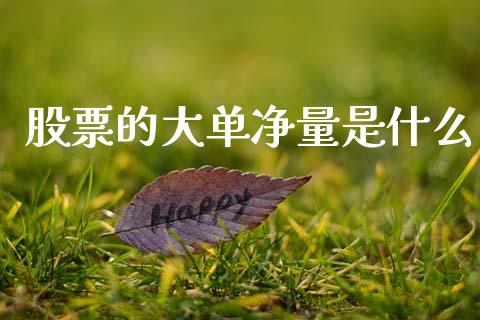 股票的大单净量是什么_https://m.lcjysmgs.com_股权投资_第1张