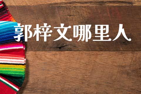 郭梓文哪里人_https://m.lcjysmgs.com_股权投资_第1张