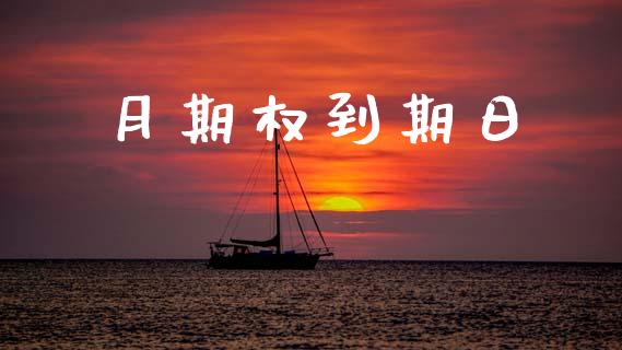 月期权到期日_https://m.lcjysmgs.com_股票交易_第1张