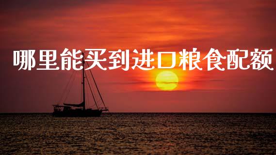 哪里能买到进口粮食配额_https://m.lcjysmgs.com_金融服务_第1张
