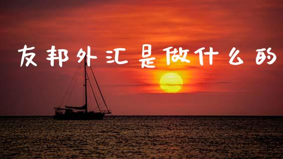 友邦外汇是做什么的_https://m.lcjysmgs.com_股权投资_第1张