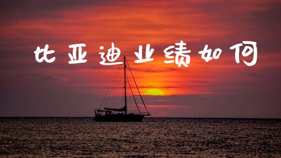比亚迪业绩如何_https://m.lcjysmgs.com_股权投资_第1张