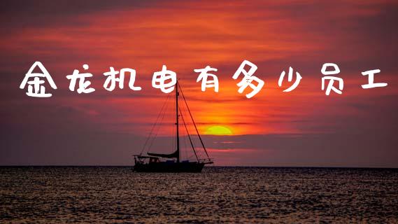 金龙机电有多少员工_https://m.lcjysmgs.com_金融服务_第1张