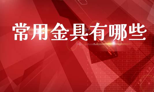 常用金具有哪些_https://m.lcjysmgs.com_金融服务_第1张