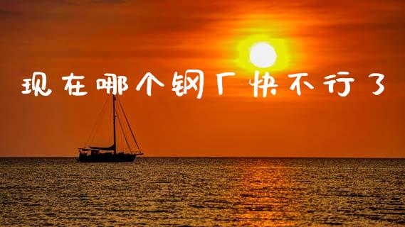 现在哪个钢厂快不行了_https://m.lcjysmgs.com_金融服务_第1张