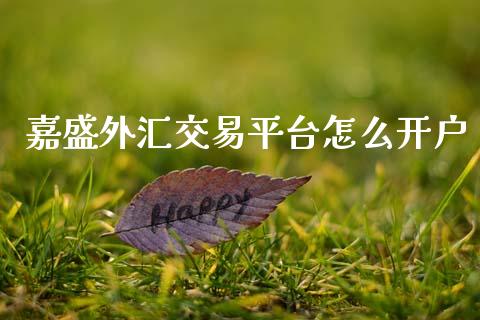 嘉盛外汇交易平台怎么开户_https://m.lcjysmgs.com_金融服务_第1张
