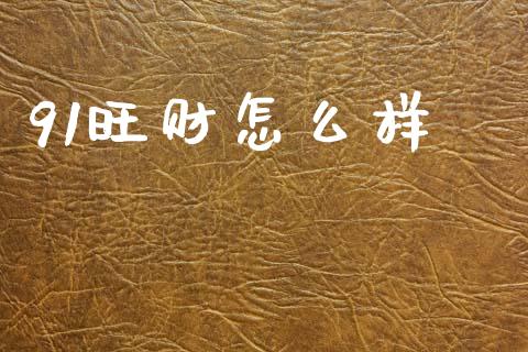 91旺财怎么样_https://m.lcjysmgs.com_金融服务_第1张